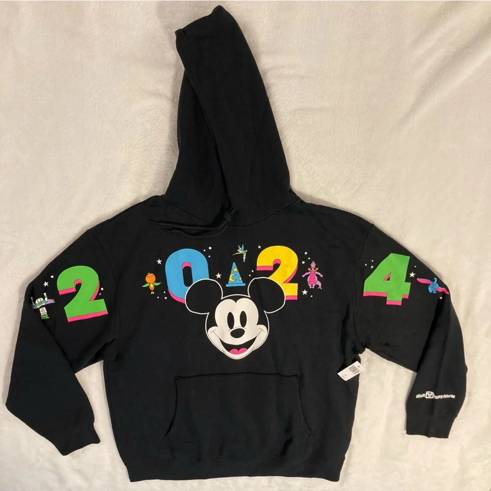 Disney Parks Walt Disney World 2024 Black Hoodie Men's L - Picture 6 of 14